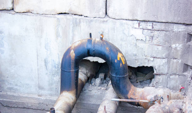 Best Professional water damage repair  in Caro, MI